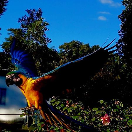 Pousada Canto Dos Pássaros Alto Paraíso de Goiás Esterno foto