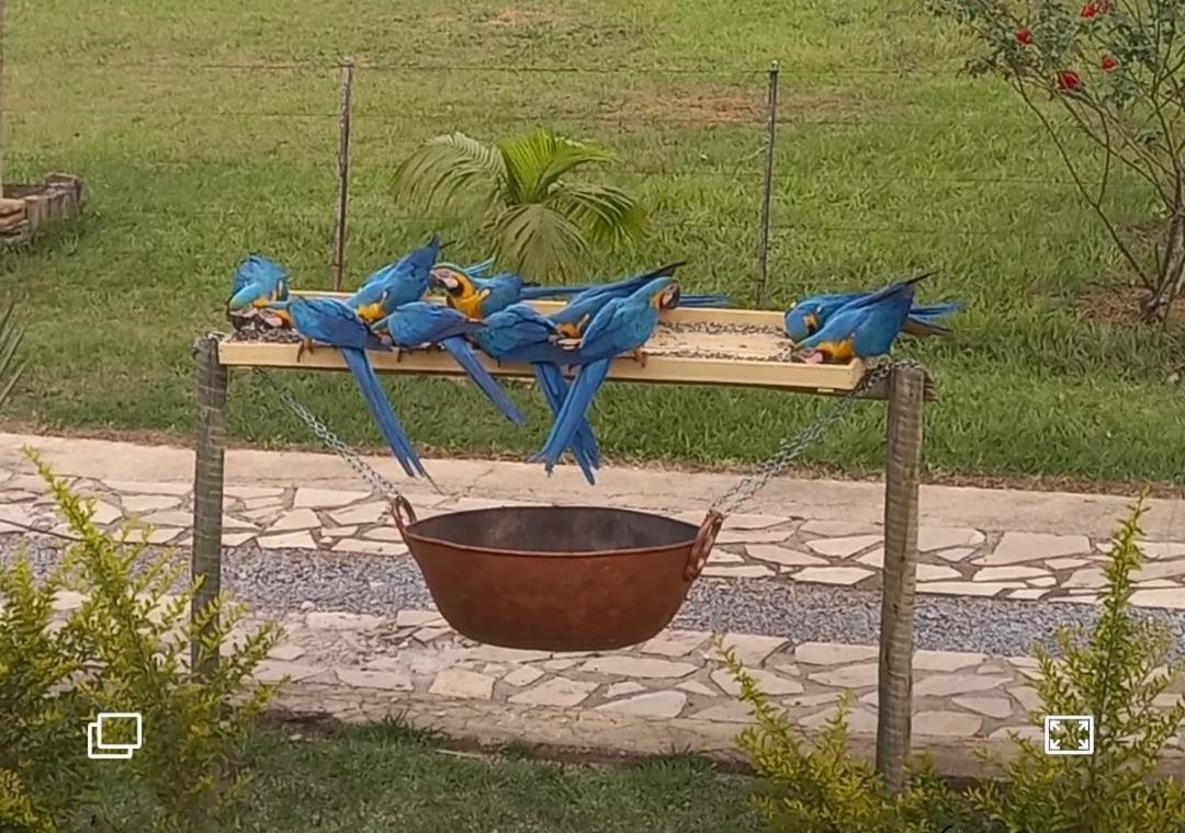 Pousada Canto Dos Pássaros Alto Paraíso de Goiás Esterno foto