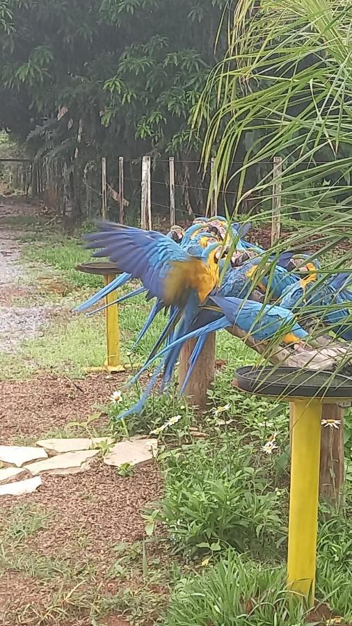 Pousada Canto Dos Pássaros Alto Paraíso de Goiás Esterno foto