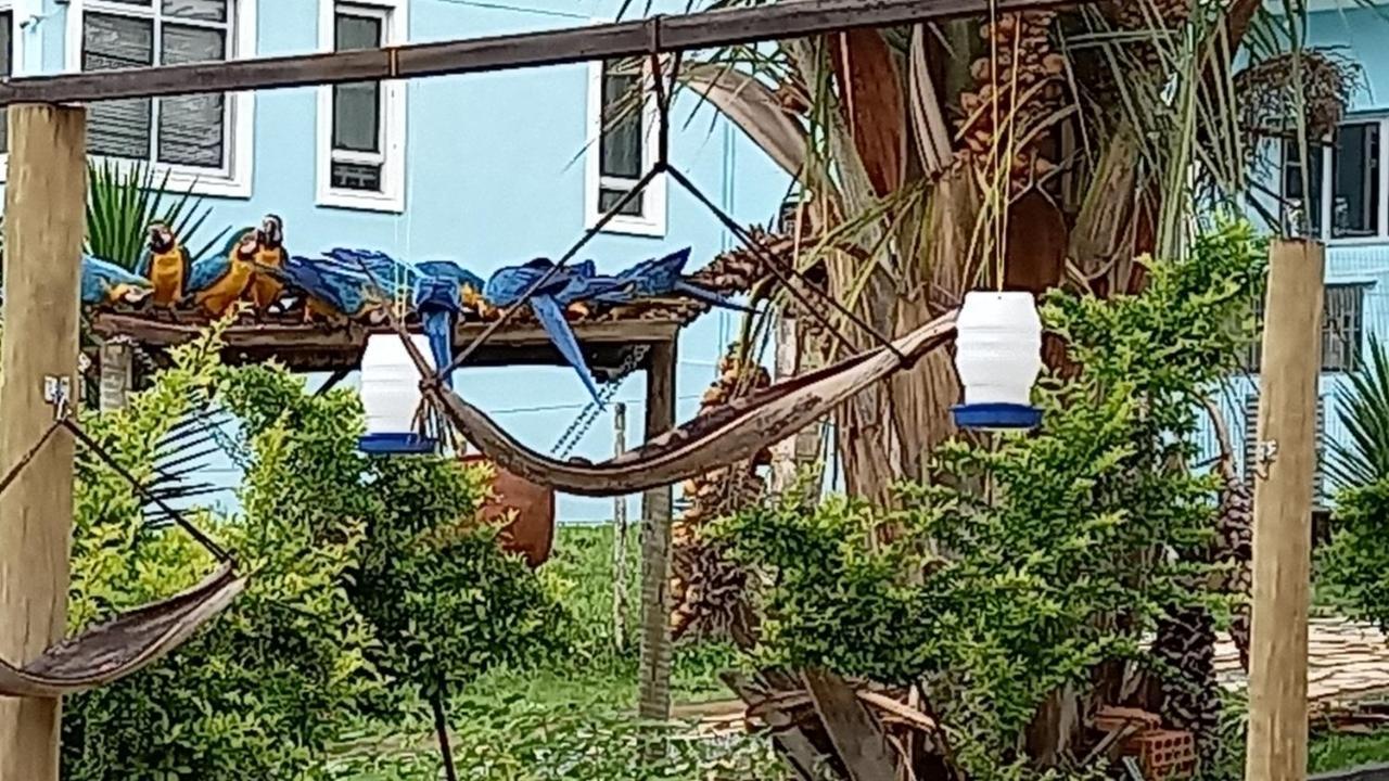 Pousada Canto Dos Pássaros Alto Paraíso de Goiás Esterno foto